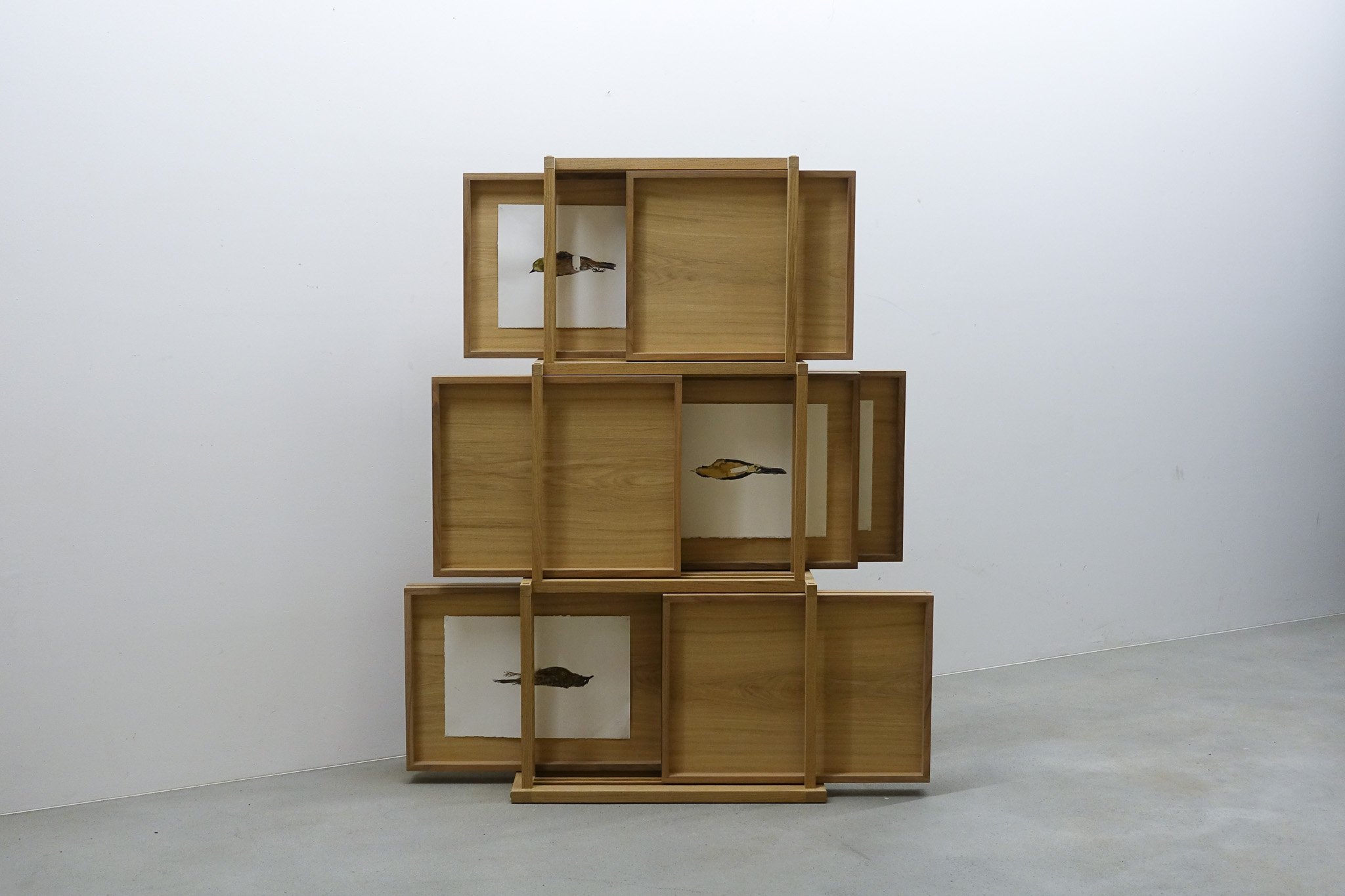 Malik Jeannet et Ali Cherri,  An Inventory of Flight, 2021-2026, noyer, chêne, aiguilles, 9 aquarelles sur papier, 132,6 x 65,3 x 42 cm