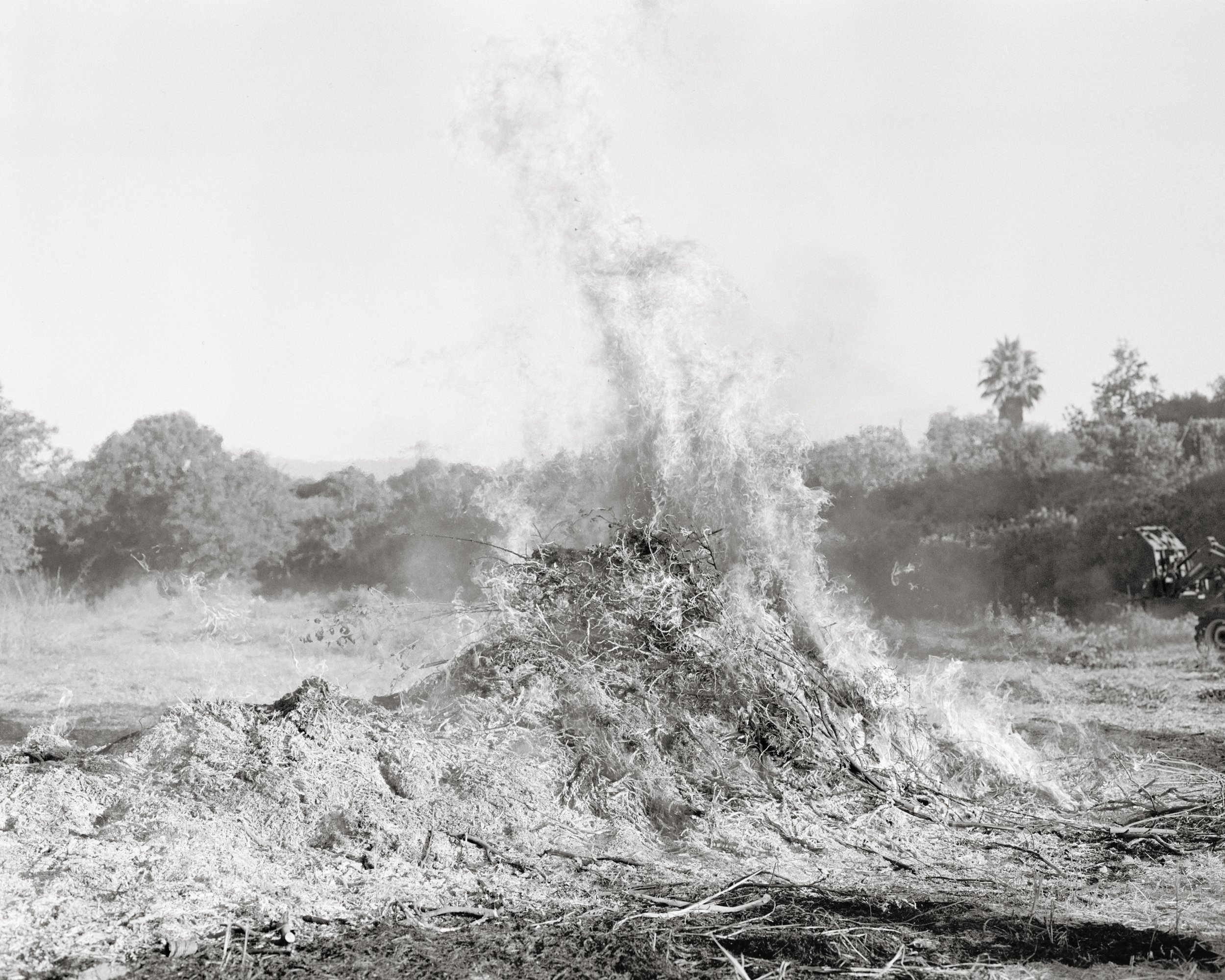 Massao Mascaro, "Fuoco", 2024, Sabbia e Bronzo, tirage gélatino-argentique