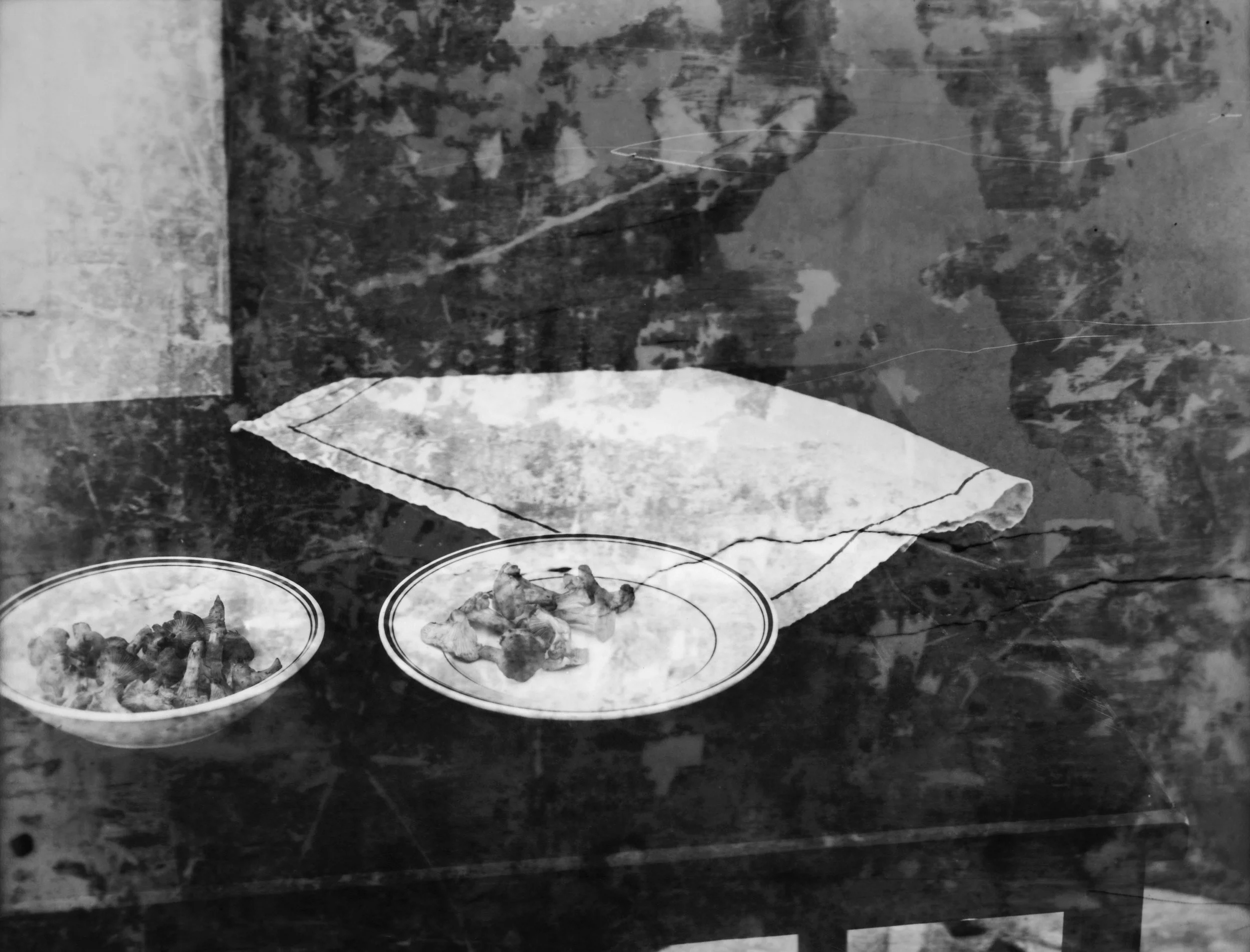Alexandra Catiere, «Assiette aux girolles, Château Palmer», 2025 de la série «Tout en ce lieu me survivra»