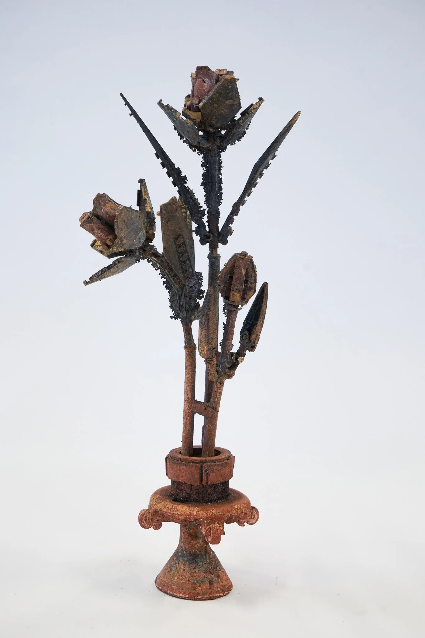 DSC07953-2.jpg