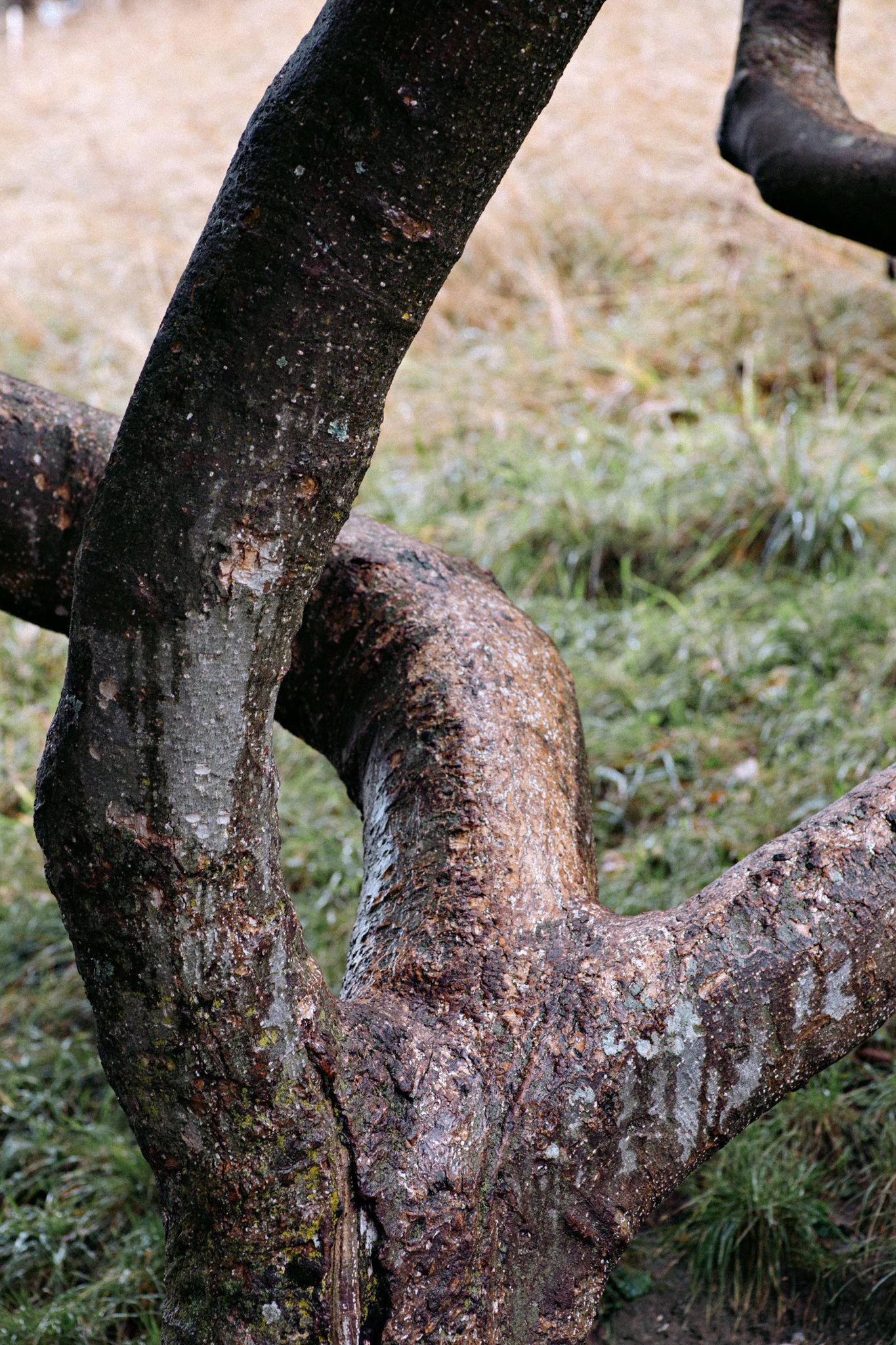 gian_losinger_movement_galerie_c_2681.jpg