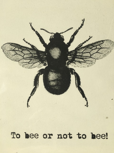 To bee or not to bee.jpeg