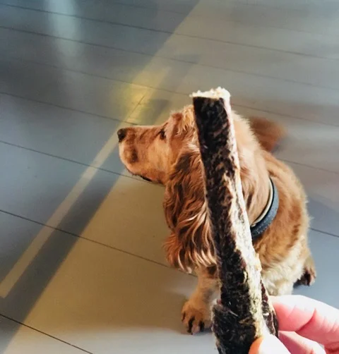 Waarom zelfbeheersing de grootste kick geeft