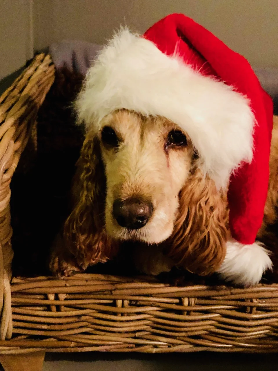 Prettig stress- of kerstfeest?