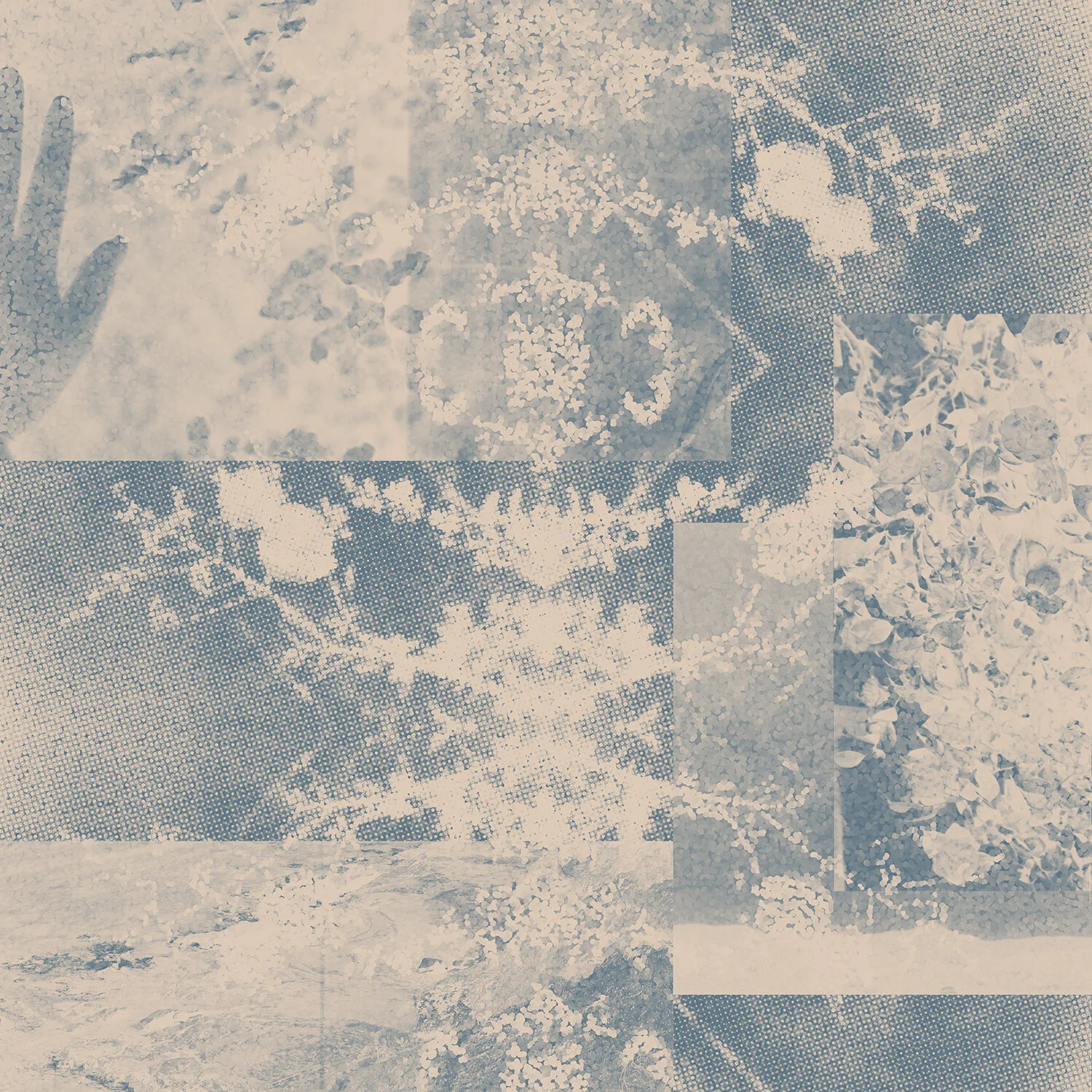 collage_30x30_02.jpg