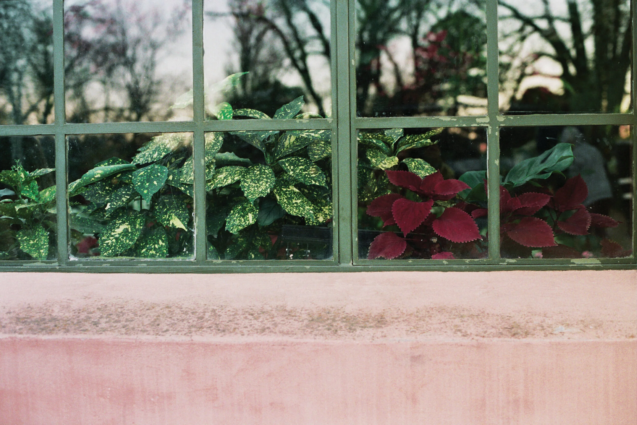 _22_0433.jpg