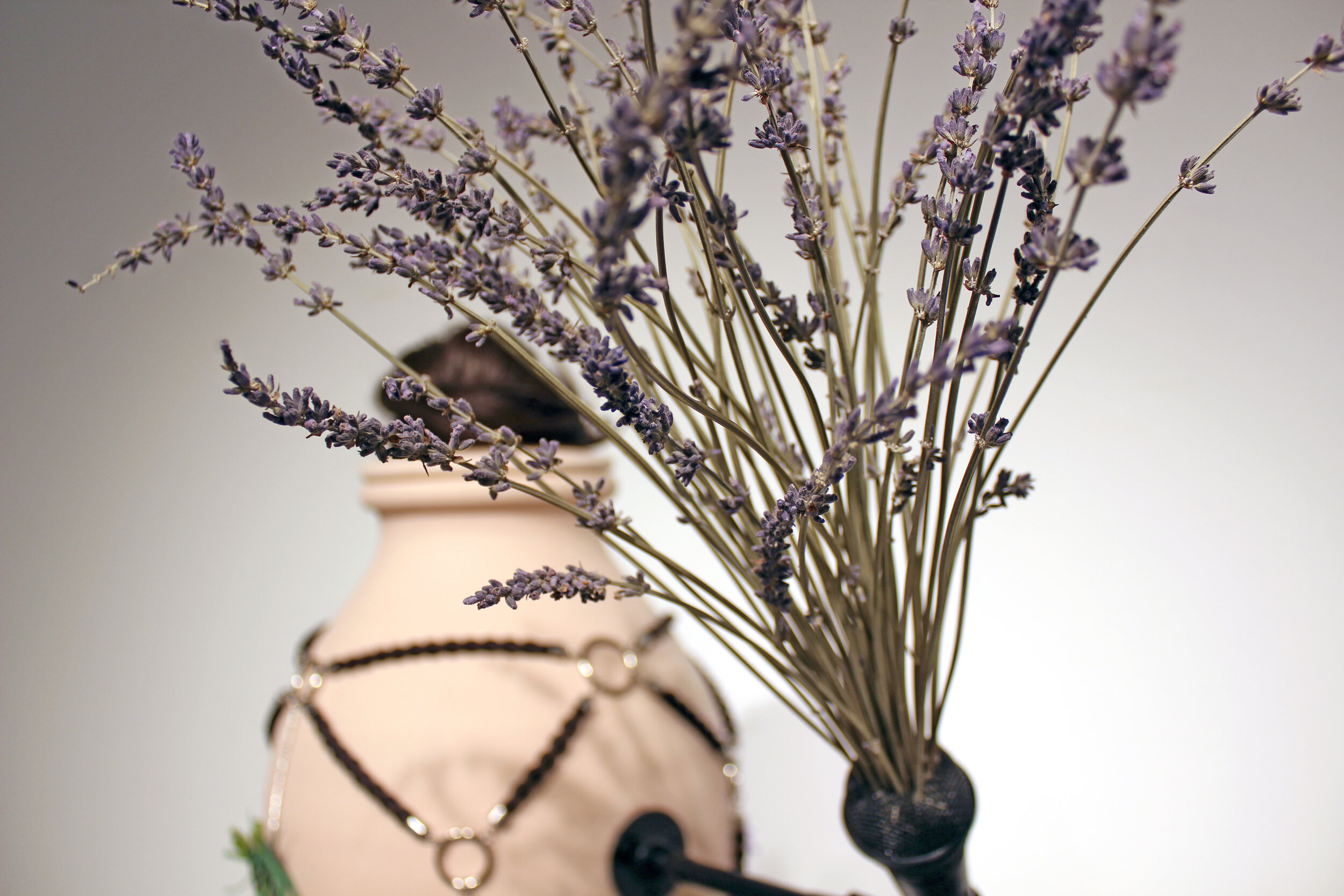 I Carry With Me All My Things: Lavender