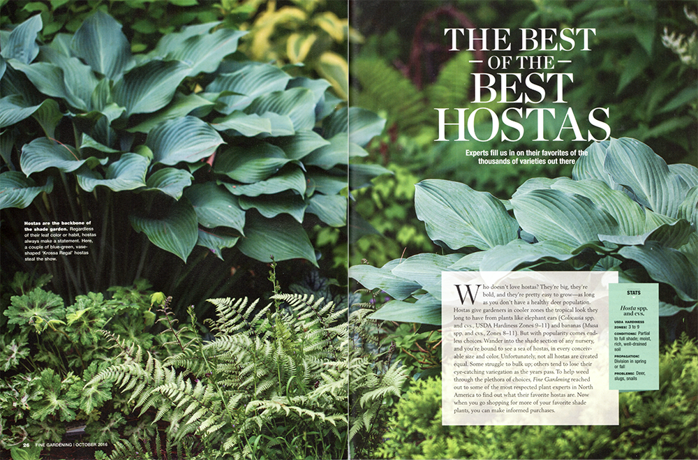 FG-Hosta_spread1.png