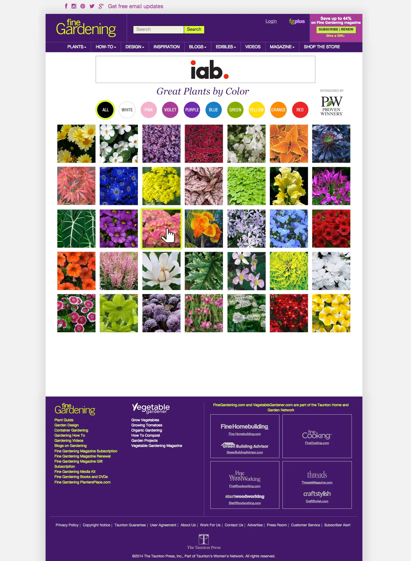 PlantsByColor4.jpg