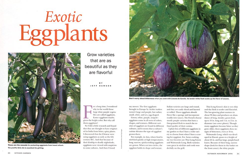 eggplant.png