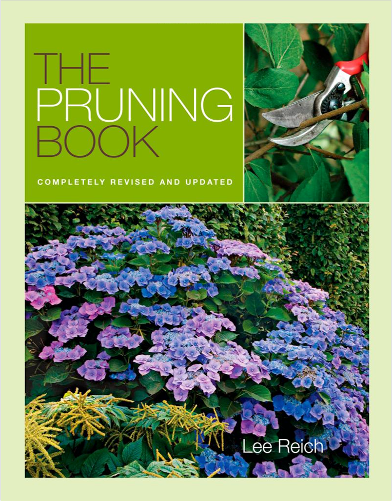 Pruning_cov.png