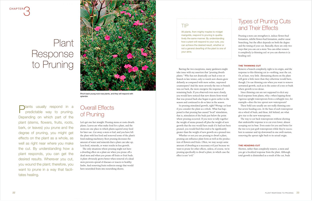 Pruning_p22-23.png