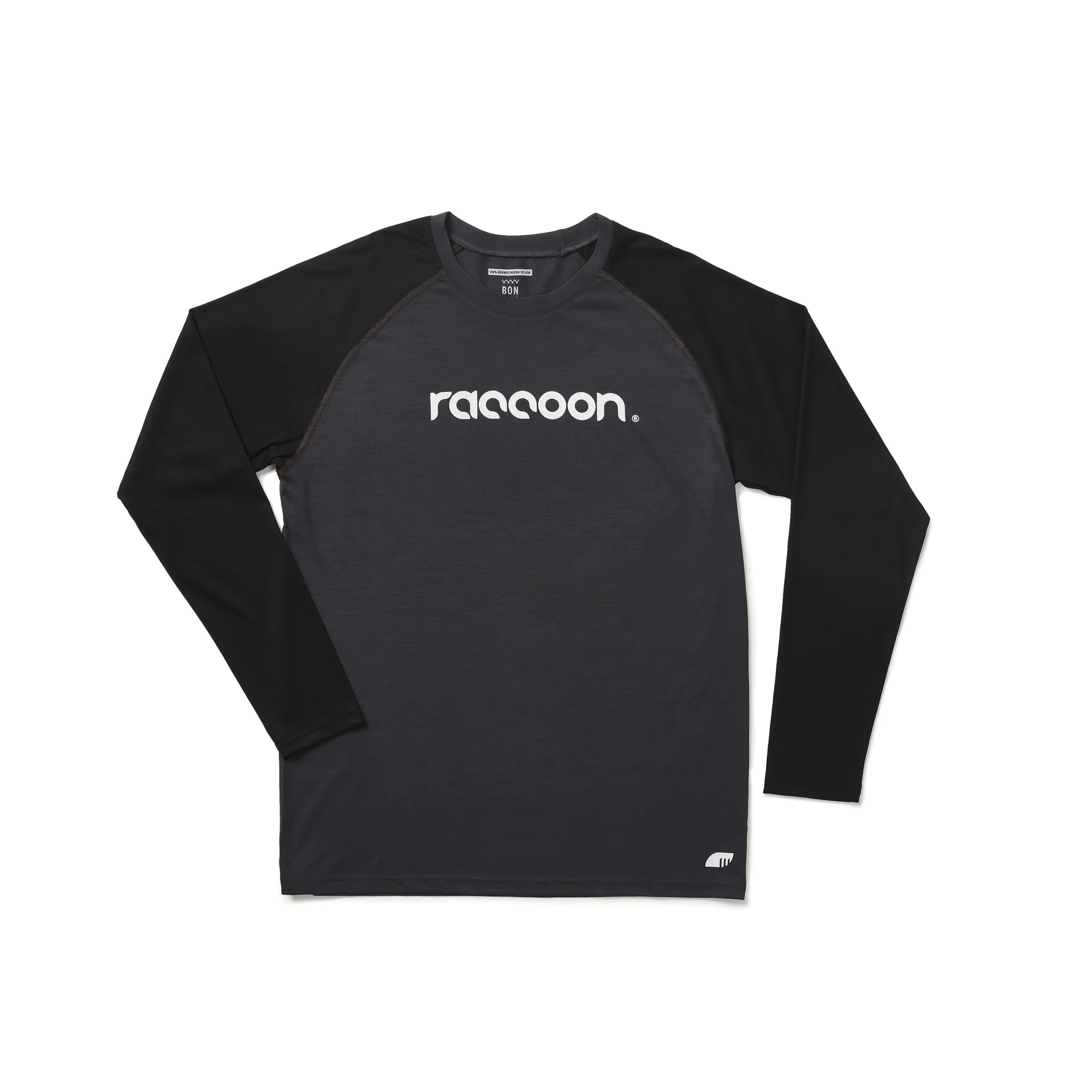 Raccoon2738.jpg