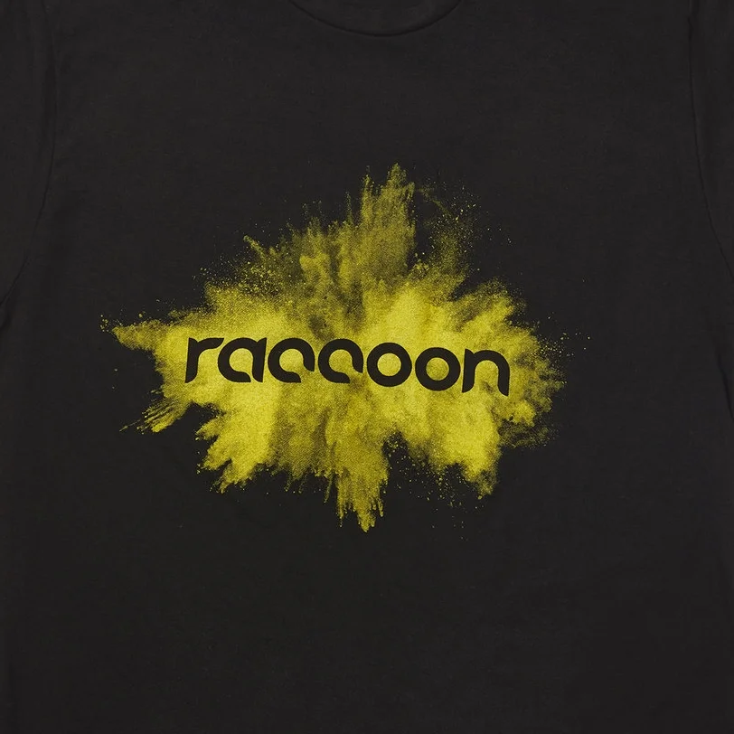 Raccoon2757.jpg