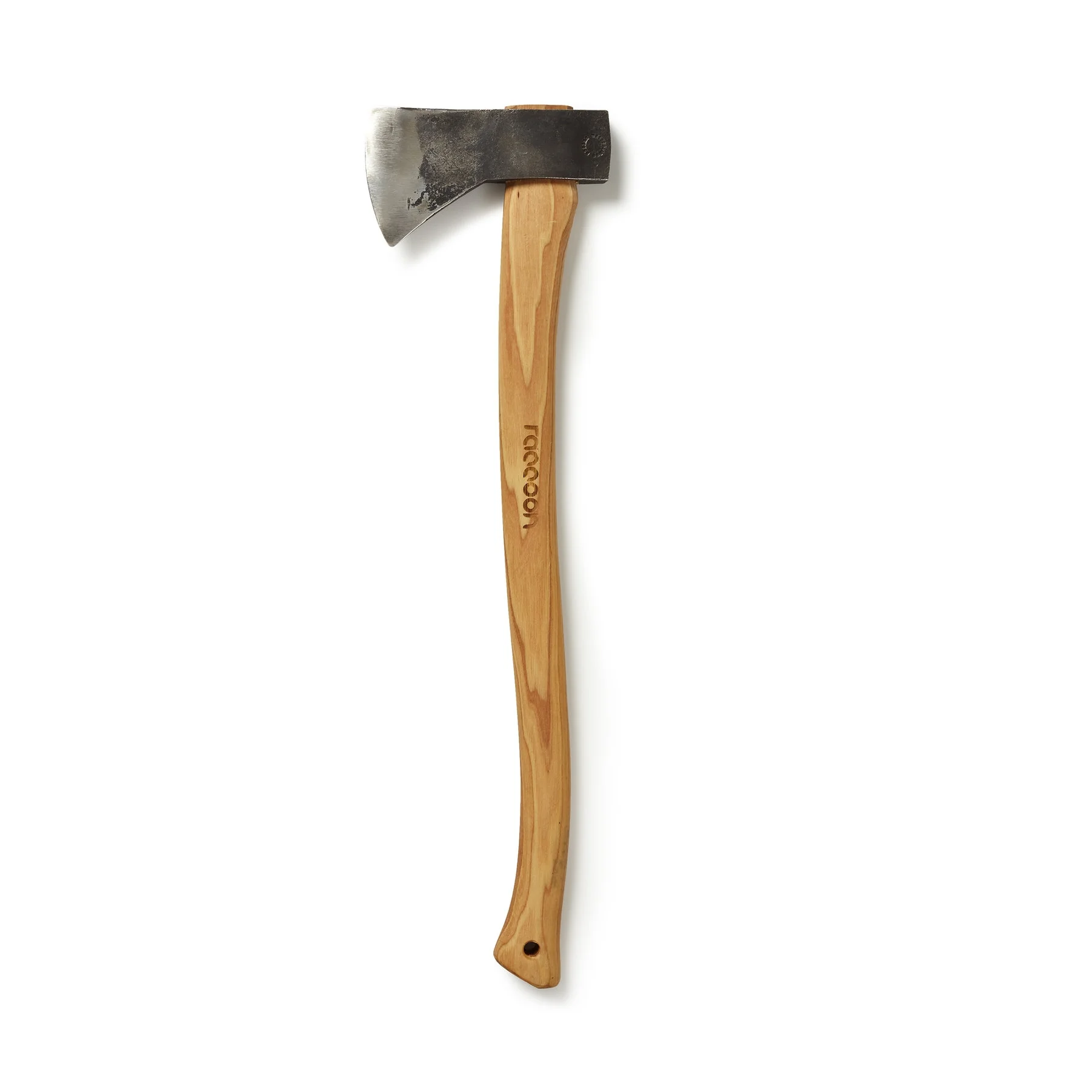 Raccoon2785.jpg
