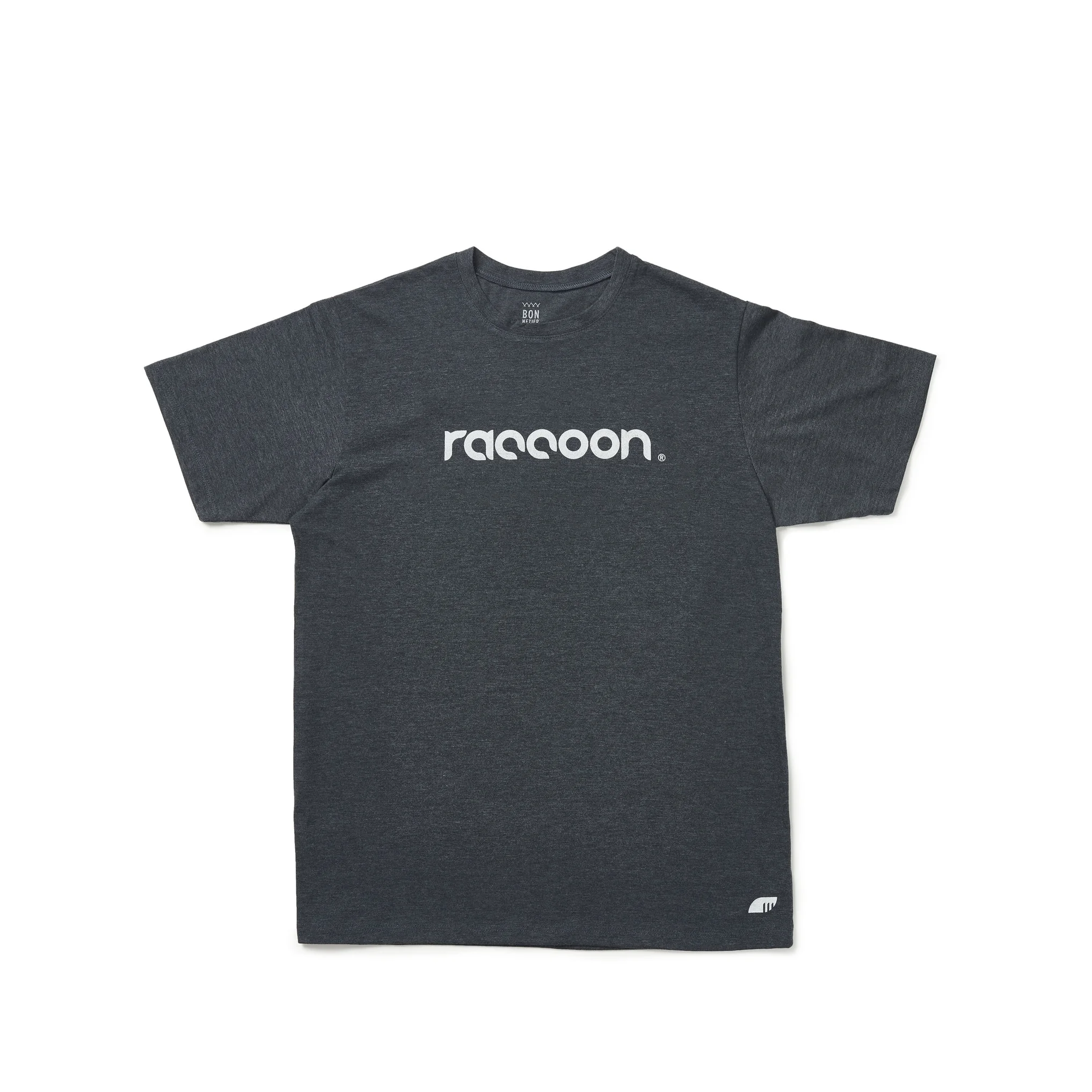 Raccoon2726.jpg