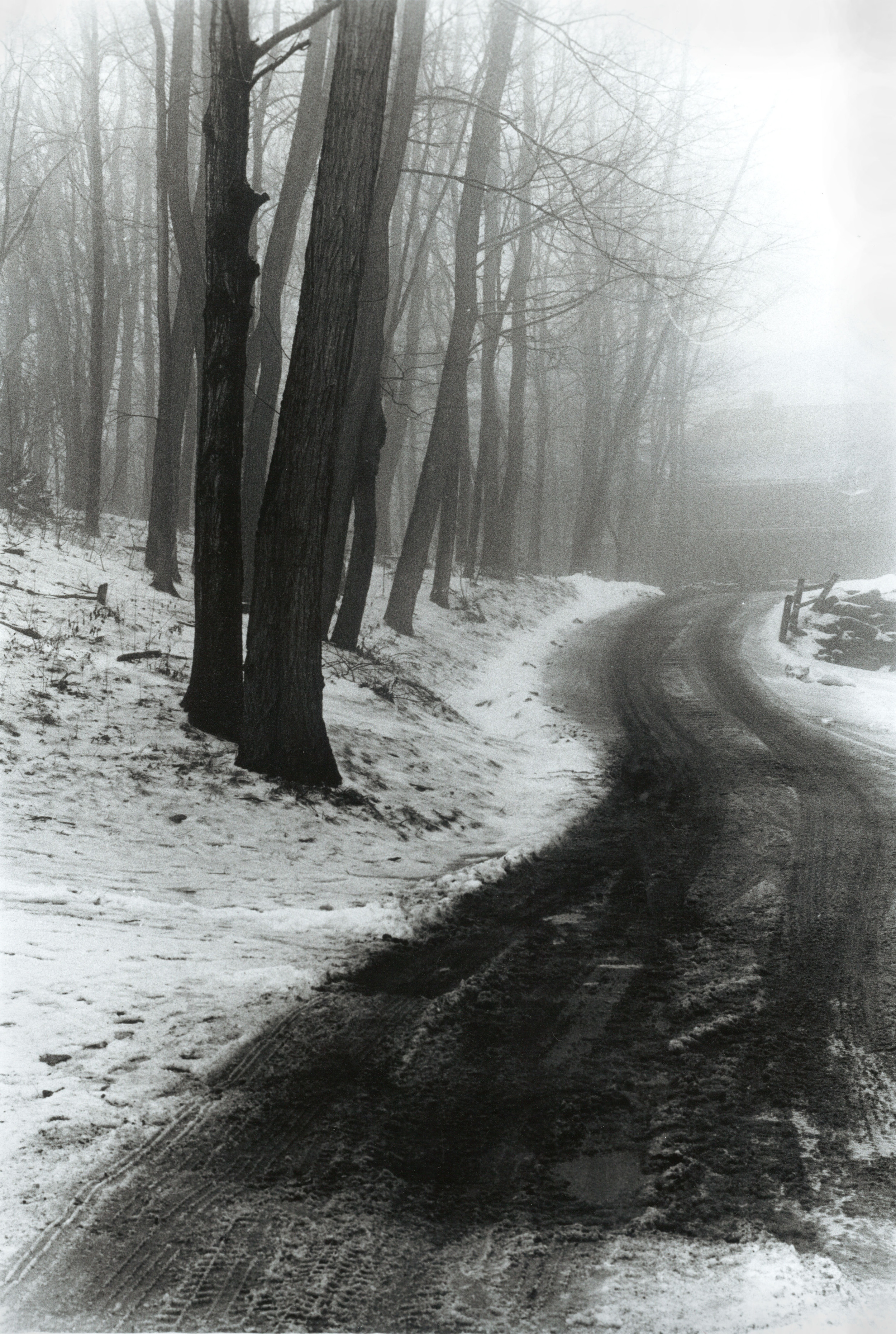 Road in the Snow .jpg