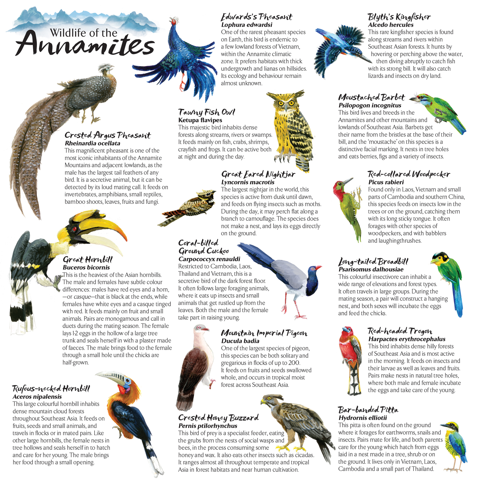Wildlife Wonders — Wonders of the Annamites