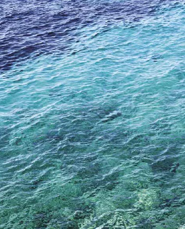 SEA TO SKIN