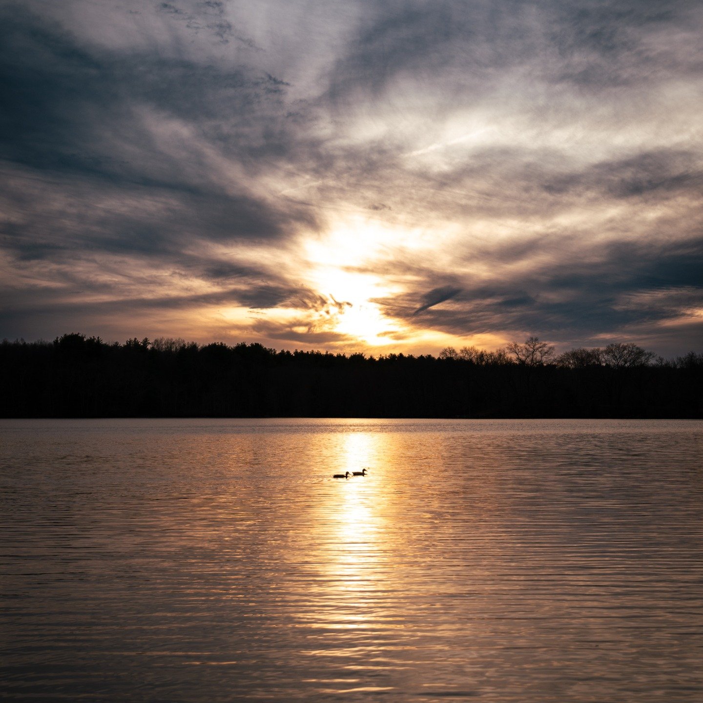 🦆🦆🌅
.
.
.
.
.
#SunsetVibes #GoldenHour #NaturePhotography #AdventureAwaits #CloudArt #OutdoorEscape #ExploreMore #PhotographyLovers #ThePhotopher