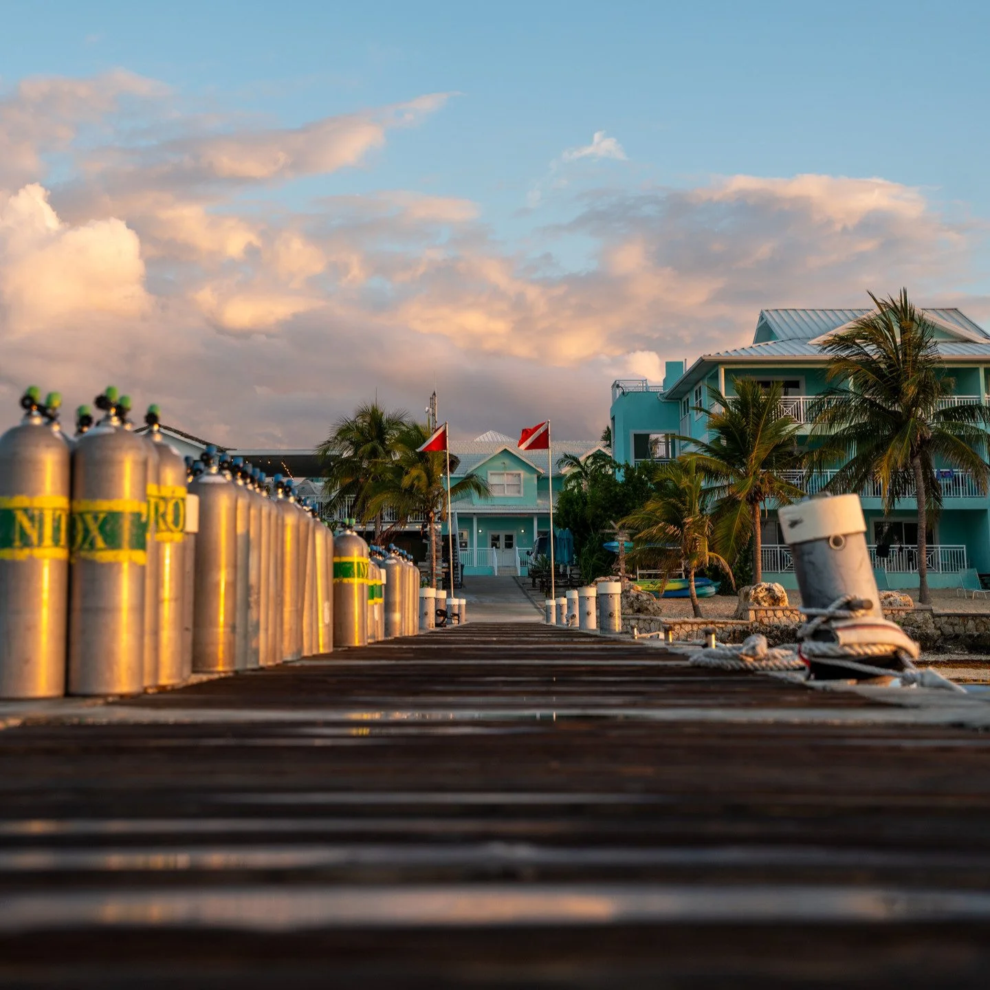 🌅 Golden hour magic at Compass Point Dive Resort, where the day begins with sunlit seas and the promise of underwater adventure. Nothing beats the calm before the first dive of the day.
.
.
.
.
.
#GoldenHour #SunriseVibes #CaymanIslands #DiveResort 