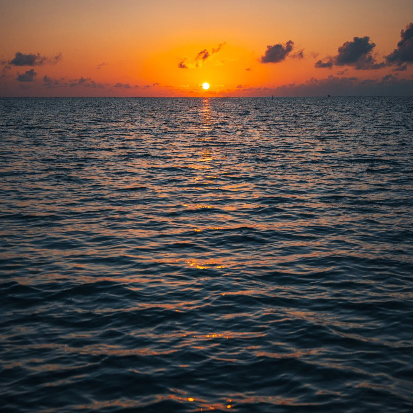 The calm before the world wakes up. Just the sound of waves and the sun slowly rising over the horizon.
.
.
.
.
.
#SunriseMagic #OceanGlow #CaymanIslands #SeascapeLovers #GoldenHourVibes #NaturePerfection #PeacefulMoments #TropicalSunrise #SaltwaterS