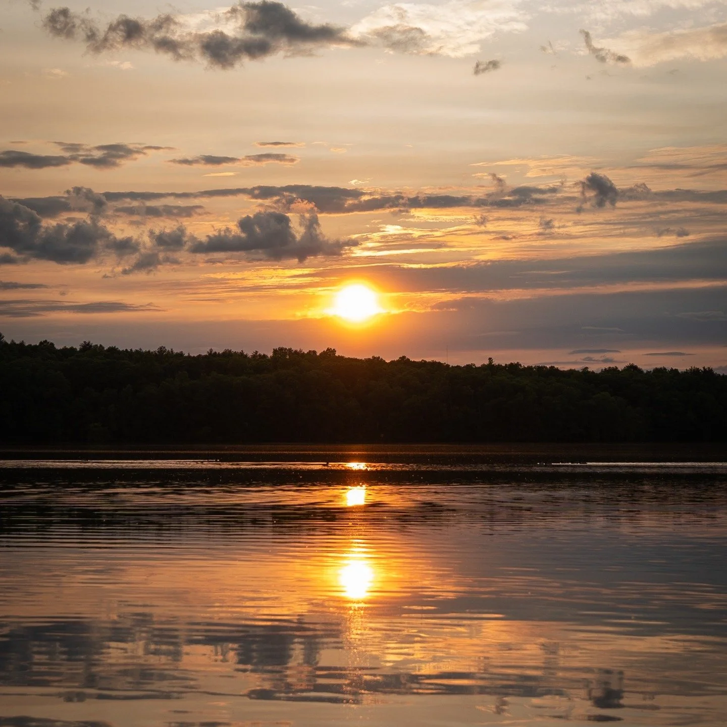 Golden hour over Chauncy Lake 🌅✨

The stillness of the water, the glow of the sun, and the silhouettes of birds skimming across the surface made for the kind of evening that stops you in your tracks.

Nature always knows how to put on a show.
.
.
.
