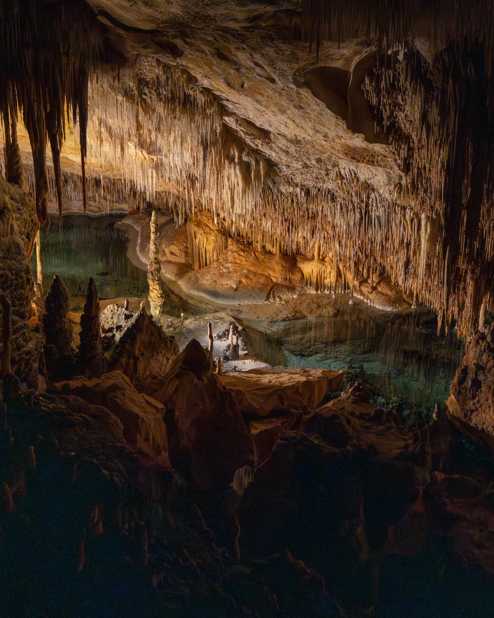 A7409449-Enhanced-NR.jpg