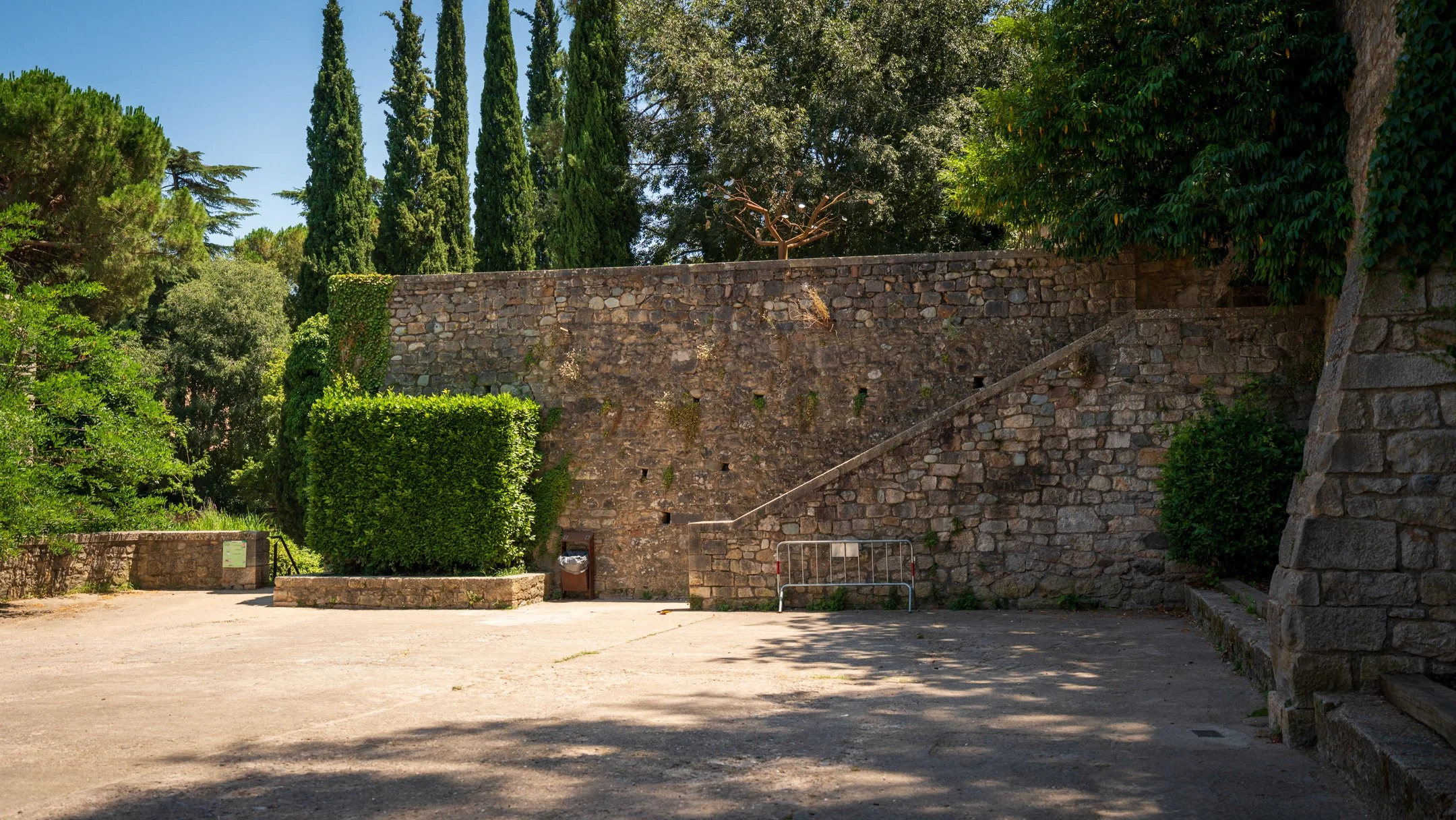 A7409891.jpg