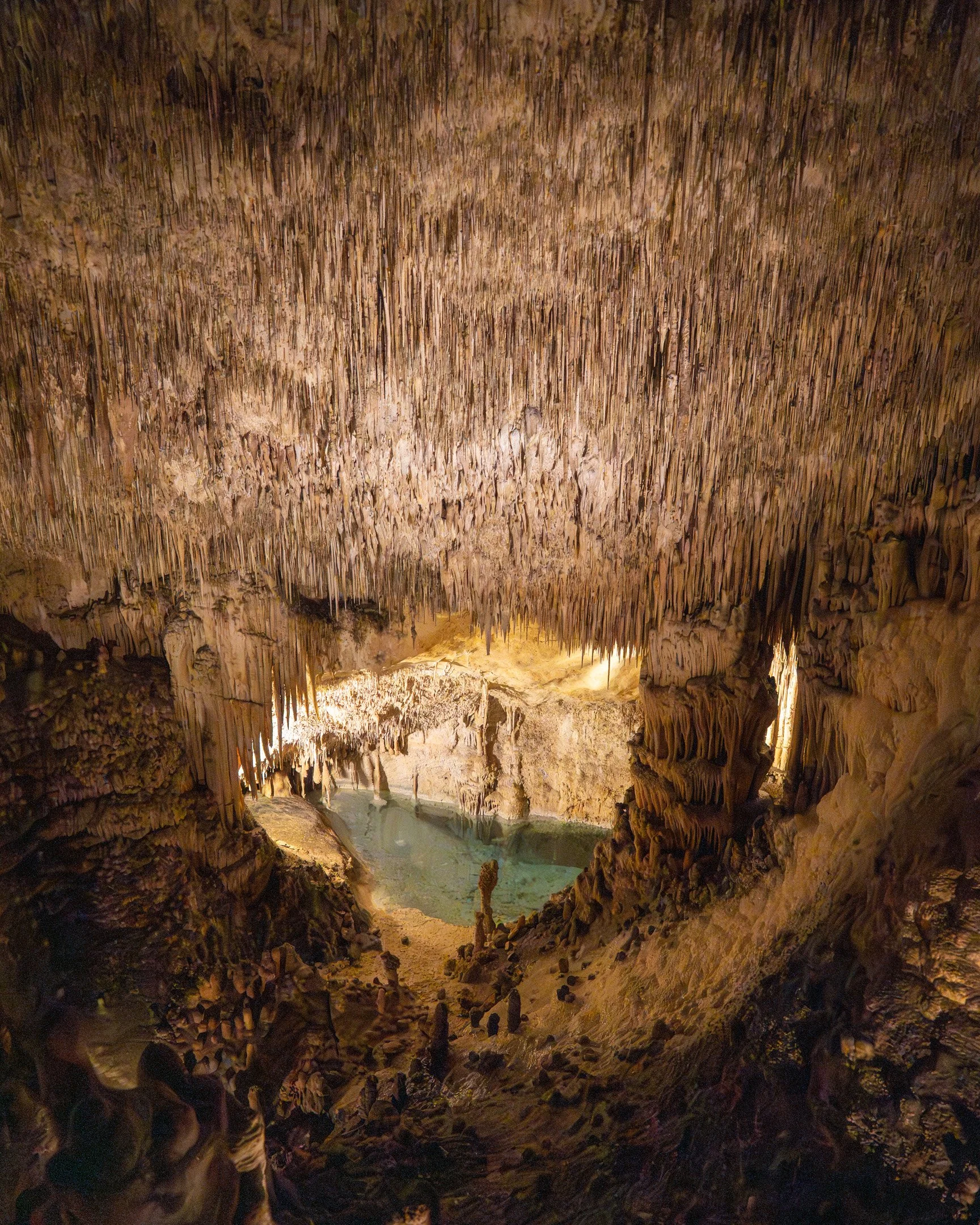 A7409497-Enhanced-NR.jpg