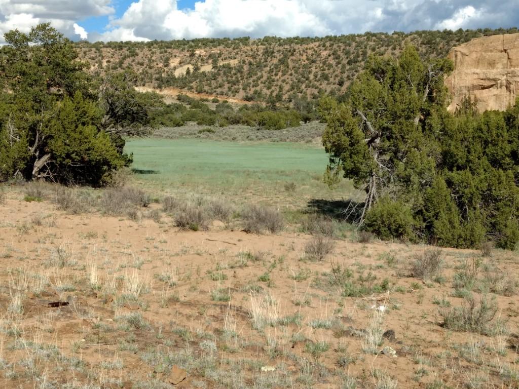 image1.jpg