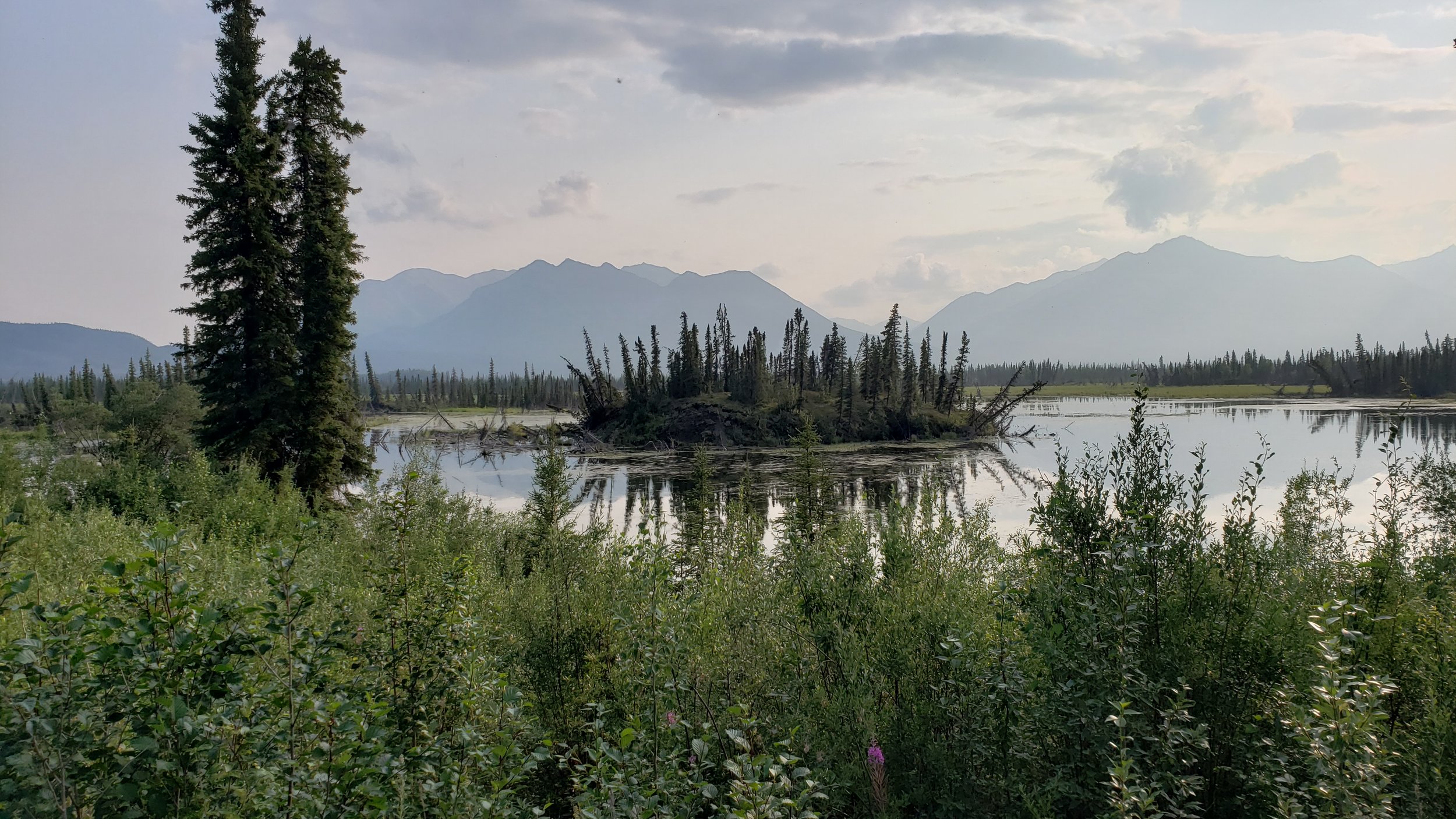 20190713_193859.jpg