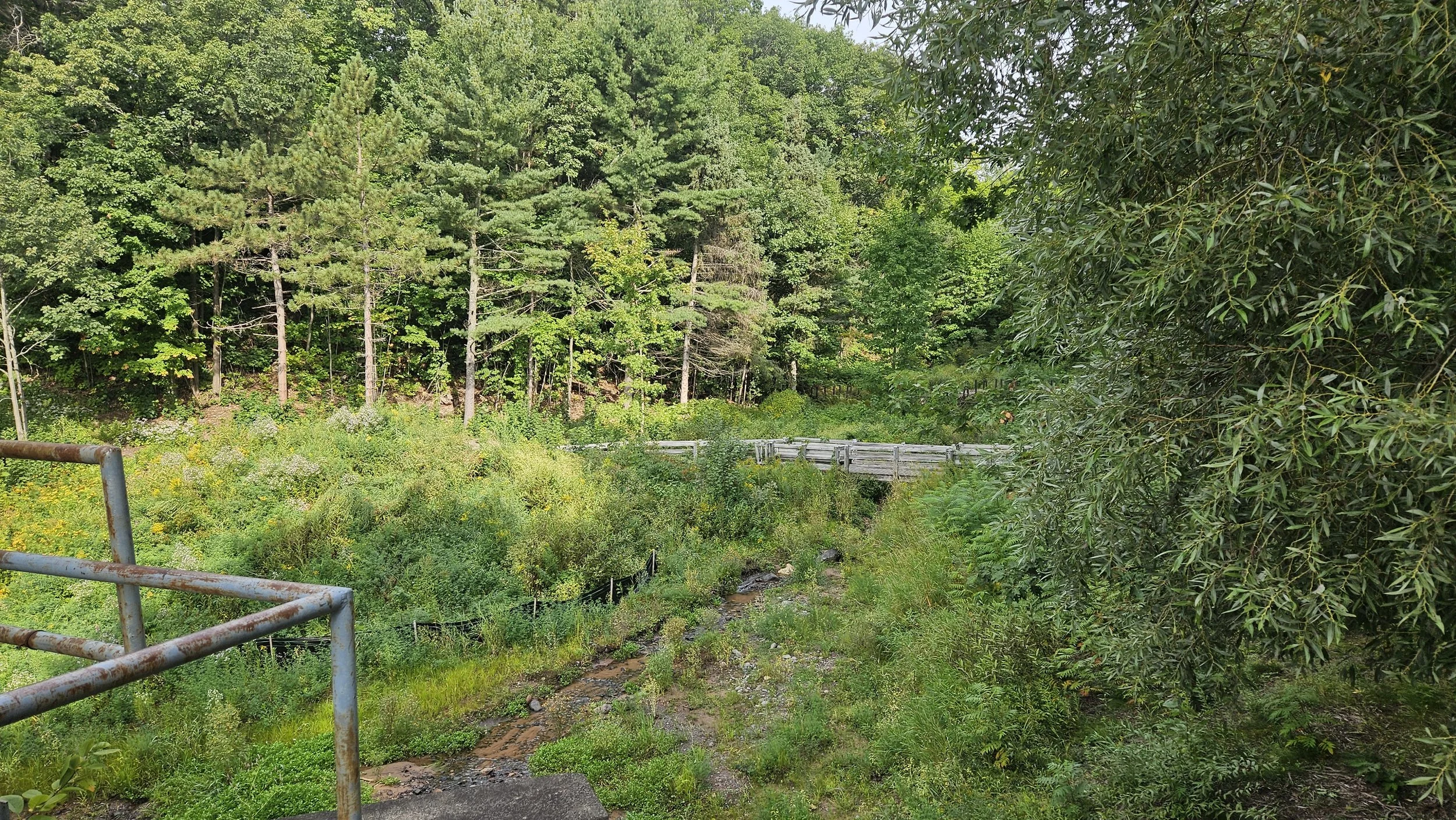 20250912_093940.jpg