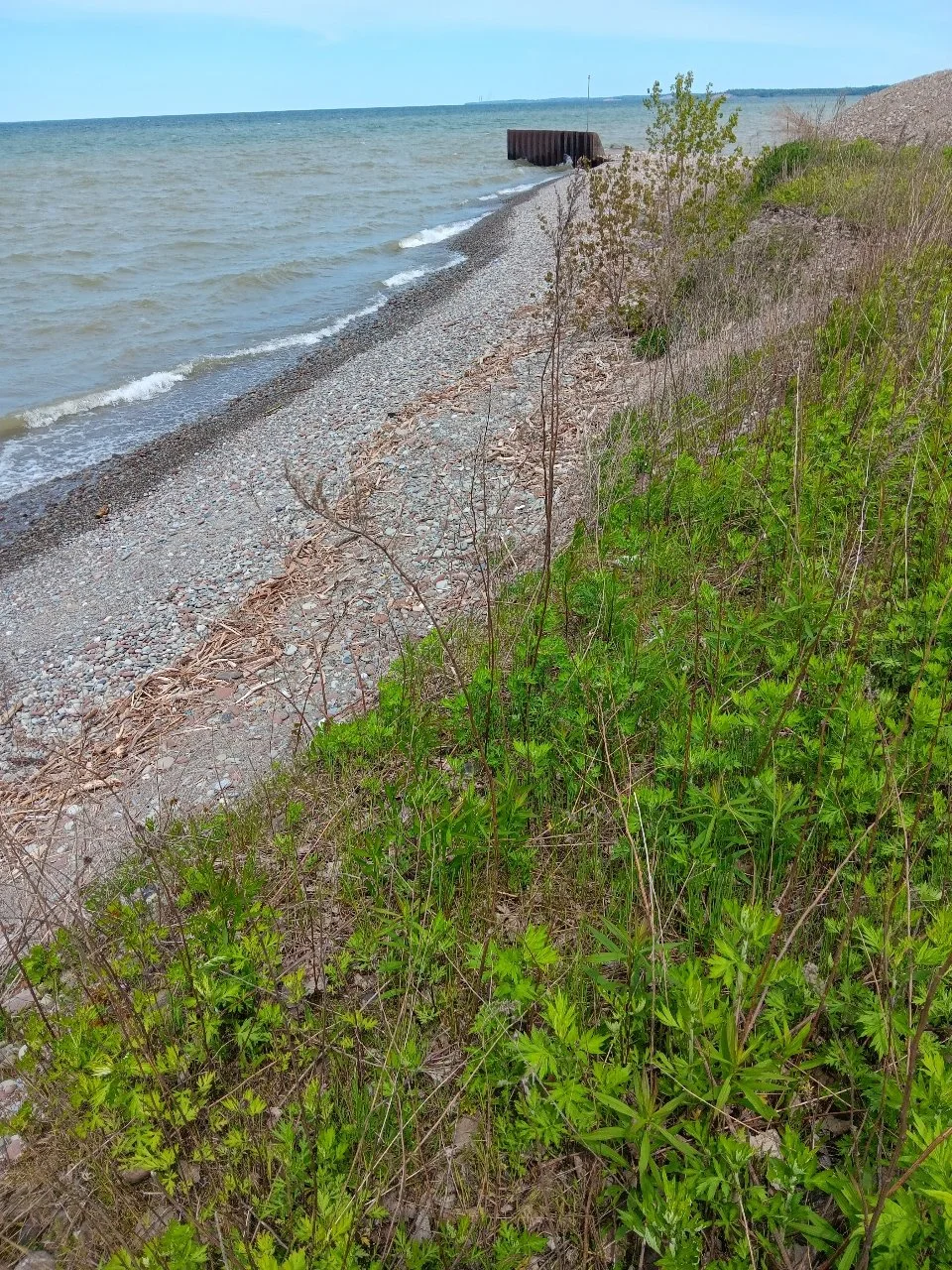 site68_photo.jpeg