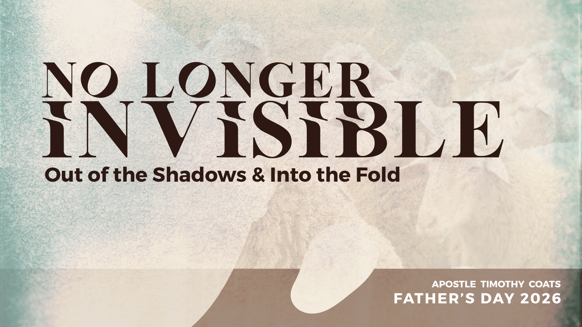 No Longer Invisible (1).png
