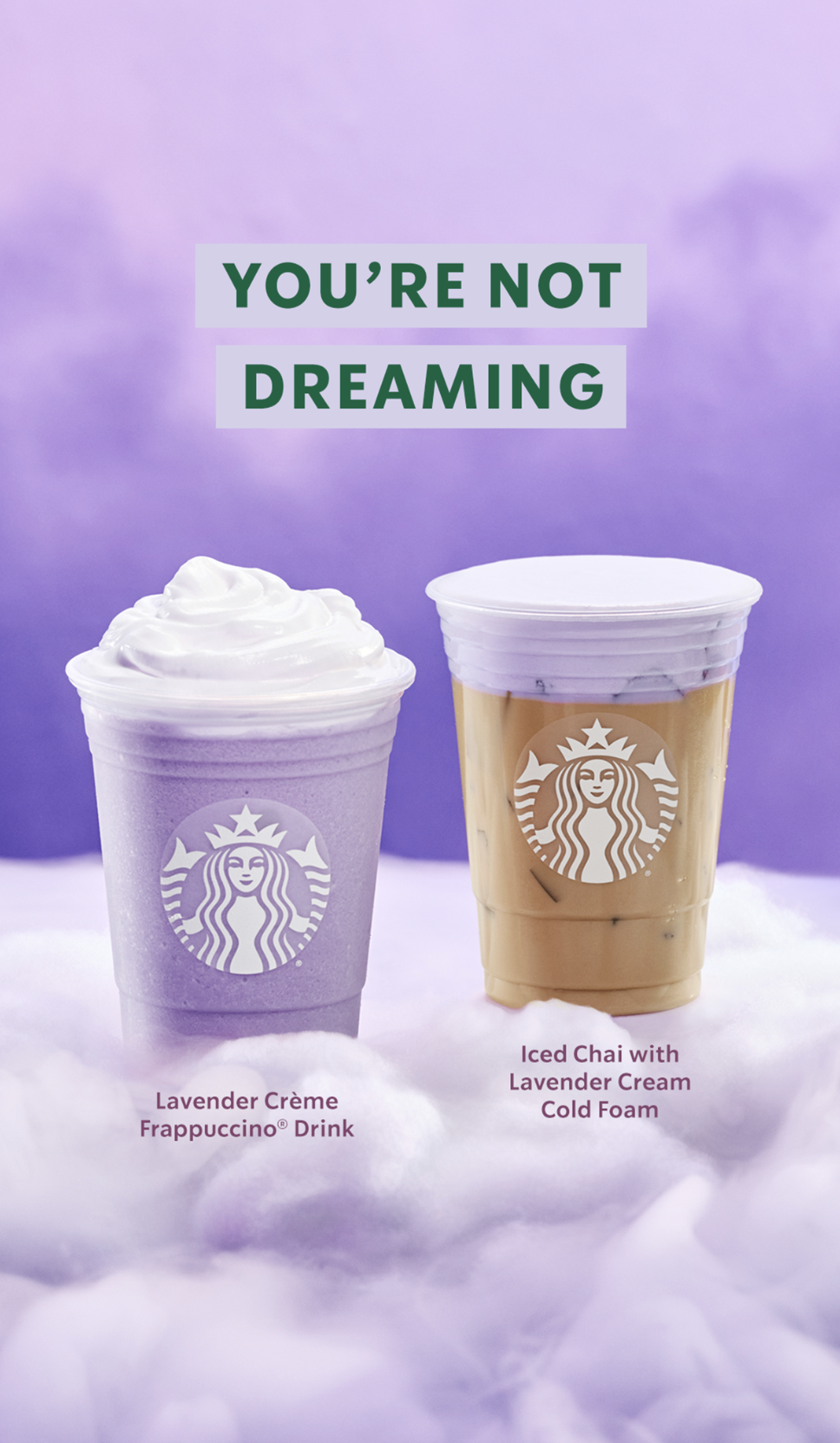 Screenshot 2025-01-17 at 12.08.19 PM.png