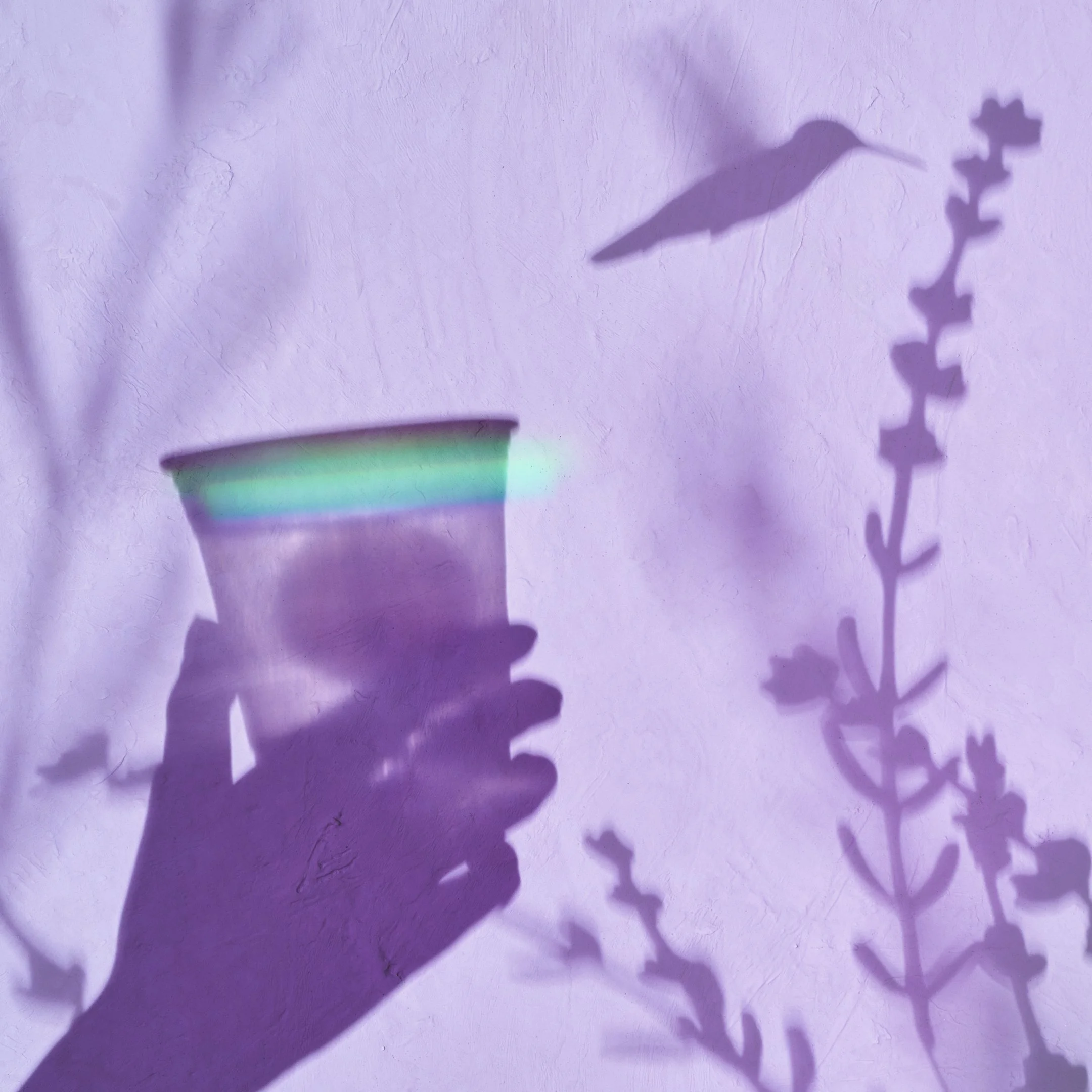 StarbucksSpring24 (4).jpg