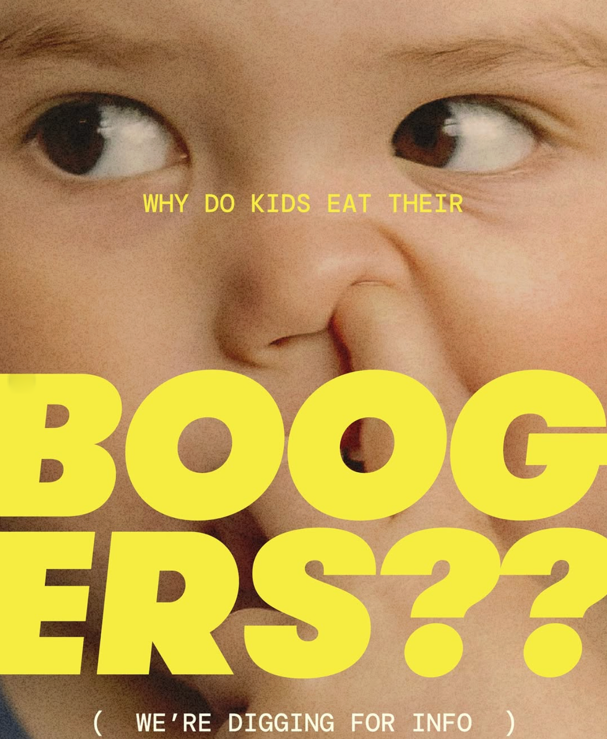 Screenshot 2026-02-02 at 11.42.18 AM.png