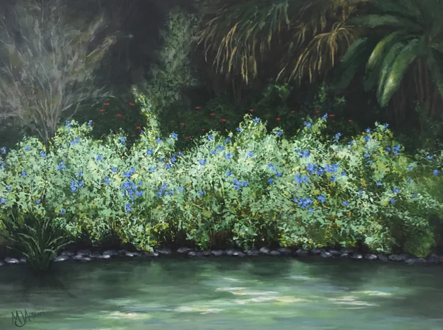 Plumbago Dance