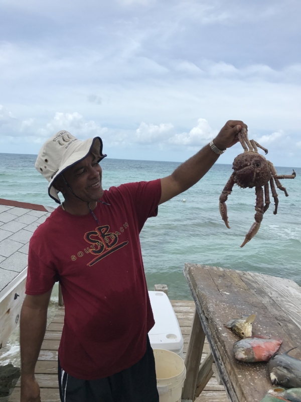 giant crab