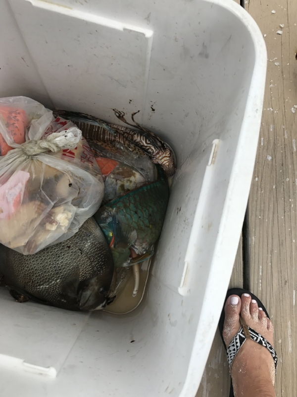 spear fishing finds