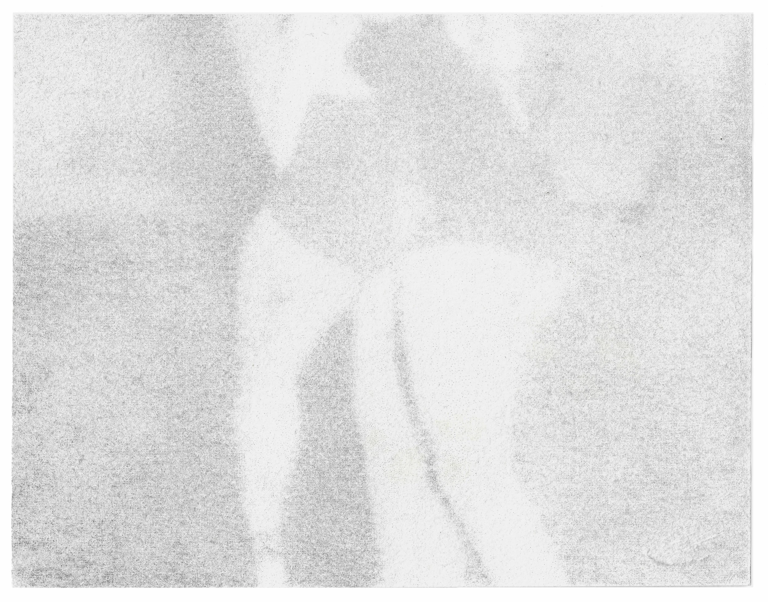  Brawlers VI  Graphite on erased pigment print on paper  5.75 × 4.5  in. 