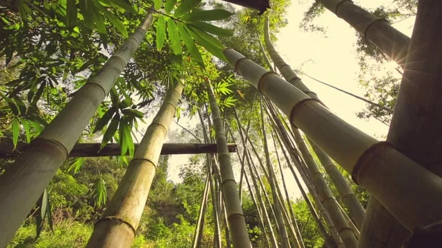 HSBC | Future Cities