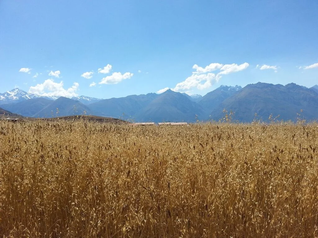 perupics14.jpg