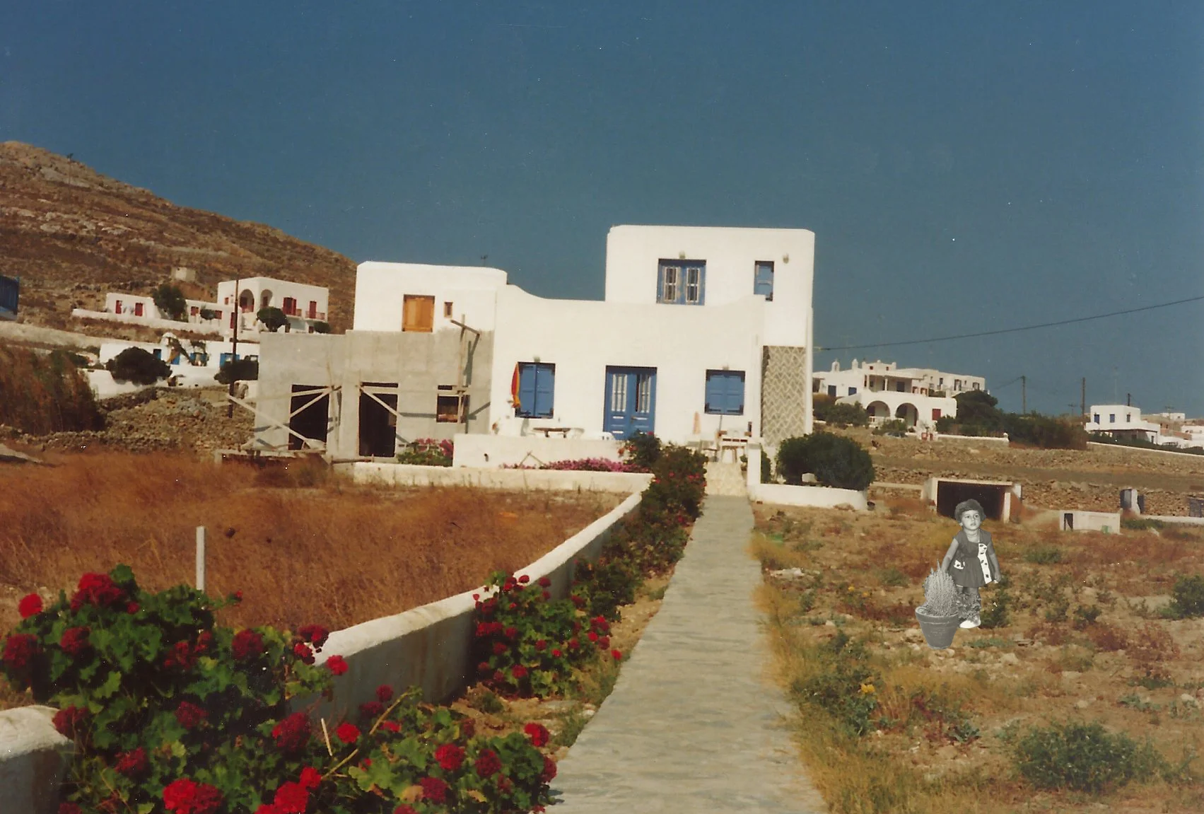 Mama in the field of mykonos.jpg