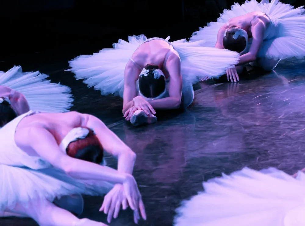 Swan Lake’ ballet inspires, Gainesville studio Dance Alive announces new cultural facility