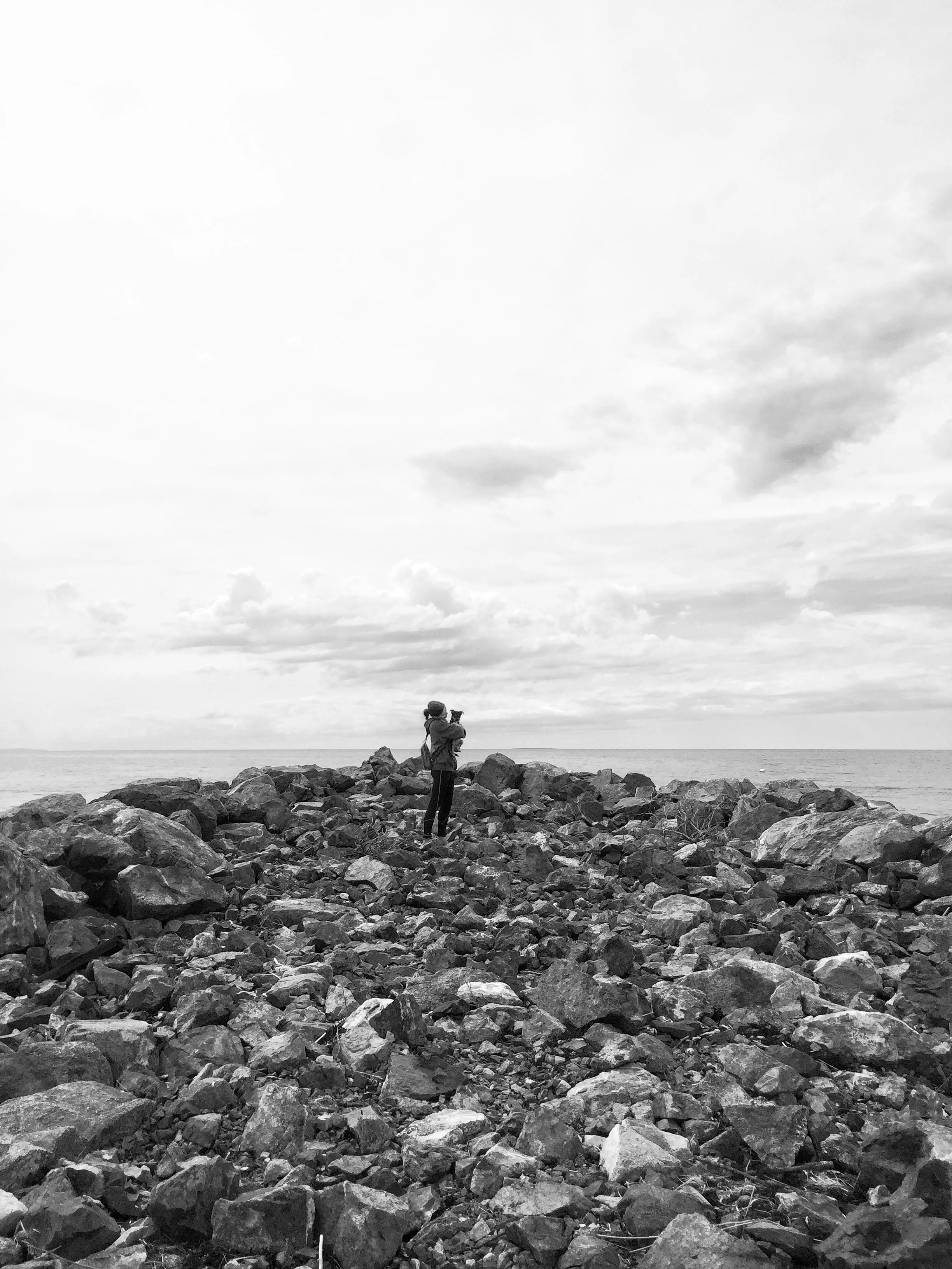 image1.JPG