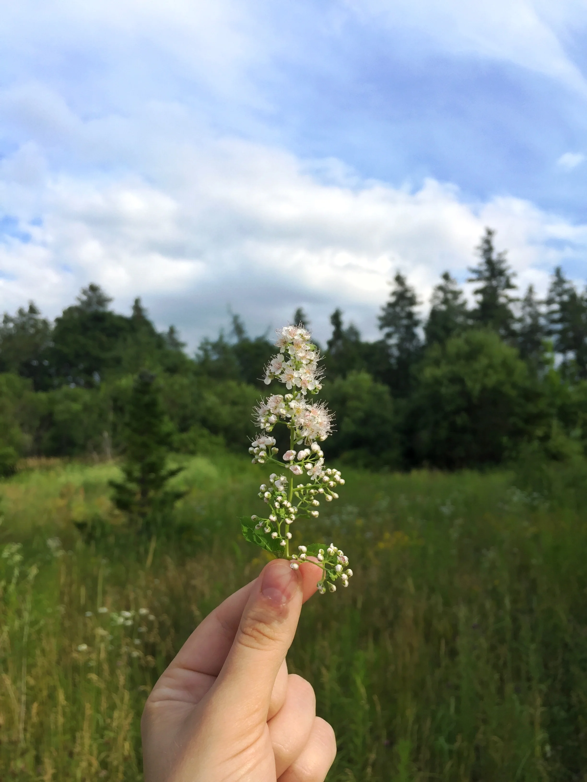 What to Do When He Leaves Unexpectedly?