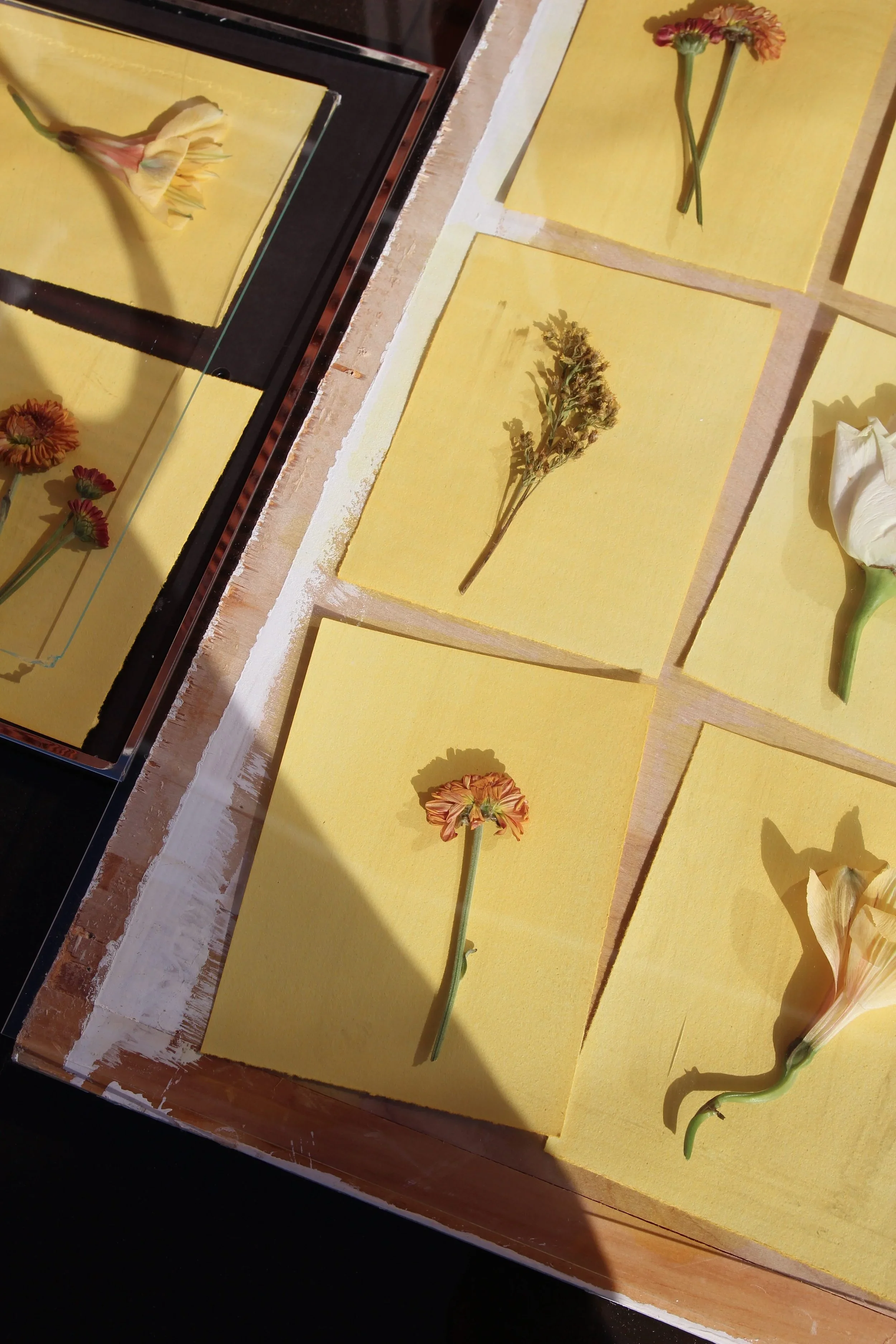 Sun Printing My Wedding Bouquet