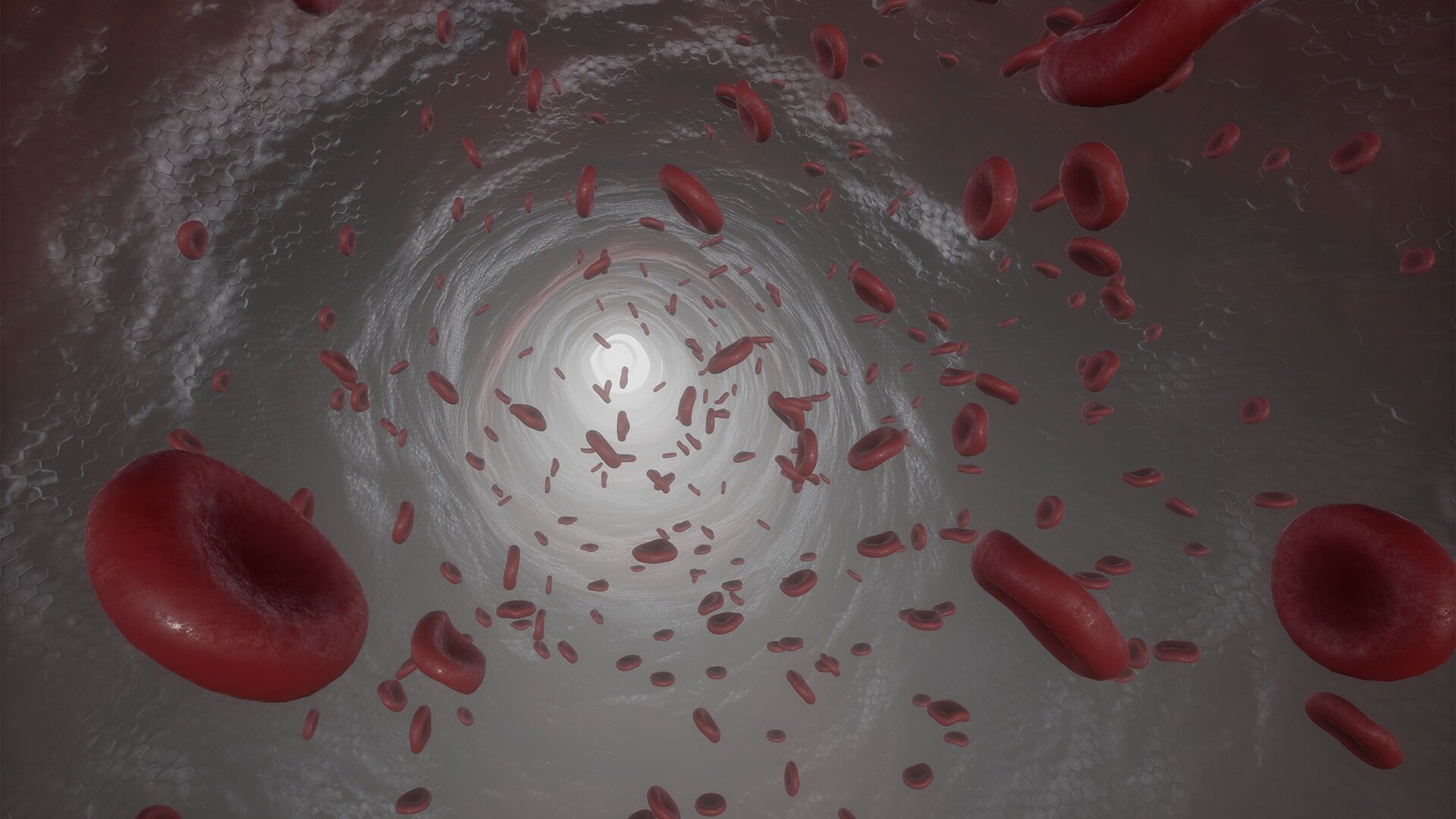 Blood_Cells+%281%29.jpg
